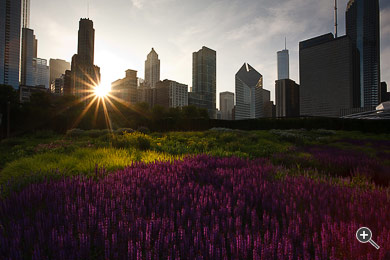 Sonnenuntergang vor Wolkenkratzern im Millennium Park in Chicago, USA.