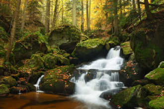 Wasserfall in der Ysperklamm