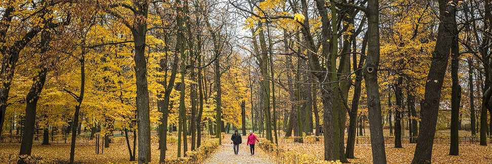 Zwei Spaziergänger im Łazienki-Park