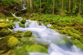 Die Kläfferquelle in Wildalpen