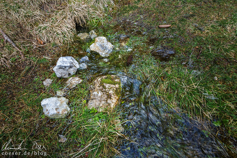 Unterirdische Quellen am Grünen See Tragöß