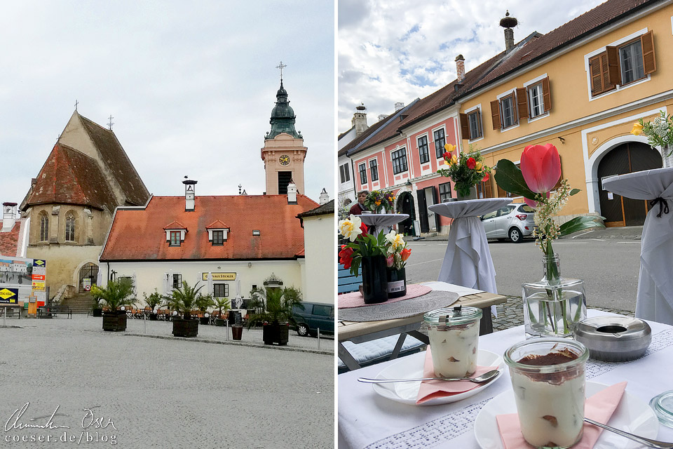 Störche in Rust im Burgenland