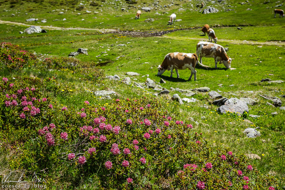 Rundweg um die Giglachseen