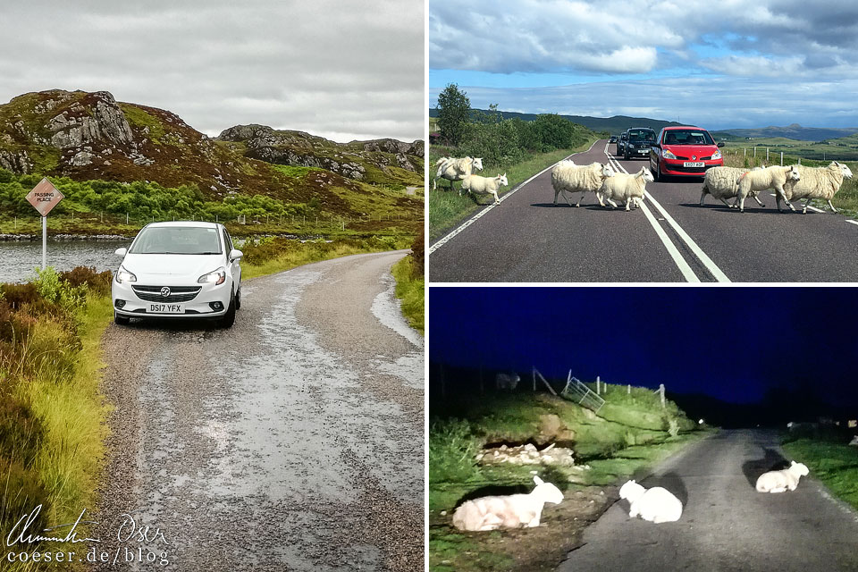 Single Track Road in Schottland
