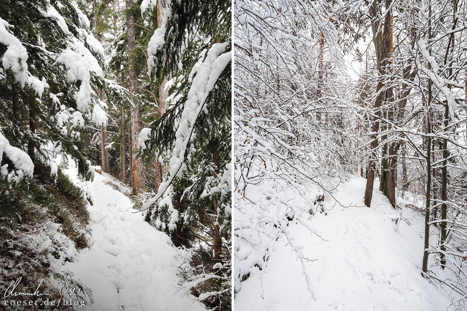 Semmering Bahnwanderweg im Winter