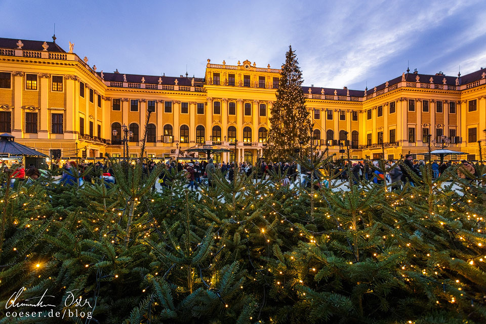 Weihnachtsmarkt vor dem Schloss Schönbrunn in Wien