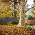 Herbstliche Stimmung vor der Brücke Ponte delle Sirenette im Parco Sempione