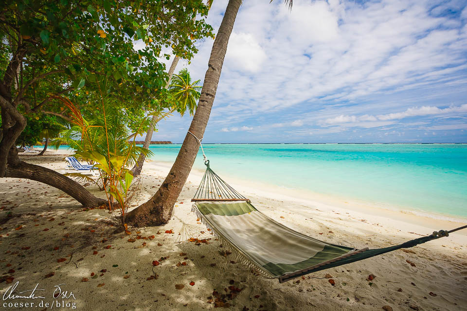 Strand und Palmen auf der Insel Meeru (Malediven)