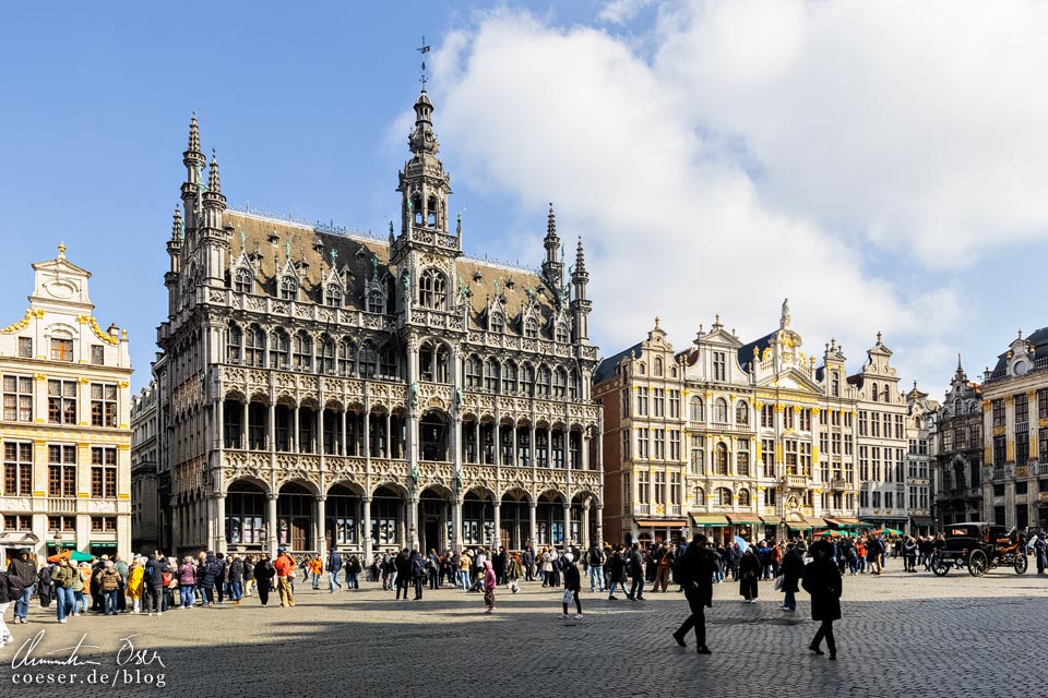 Grand-Place mit Maison du Roi und Maison du Marchand d'Or in Brüssel