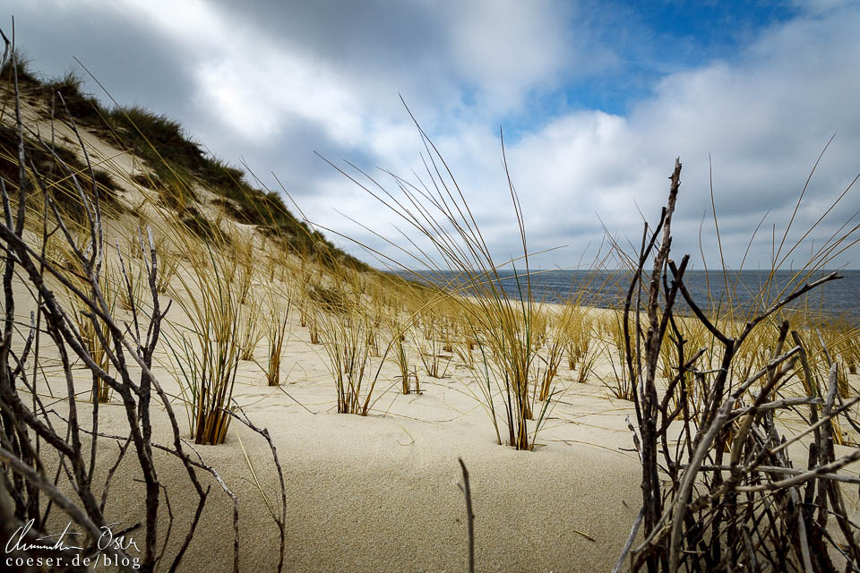 Küstenlandschaft auf Sylt