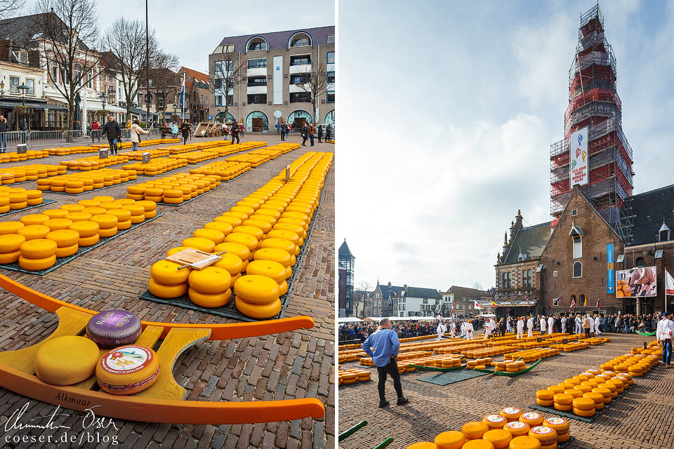 Käsemarkt Alkmaar auf dem Waagplein