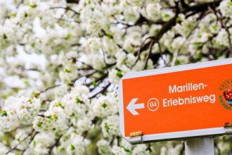 Marillenweg in der Wachau