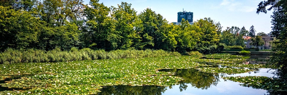 Seerosenteich im Tivoli-Park in Ljubljana