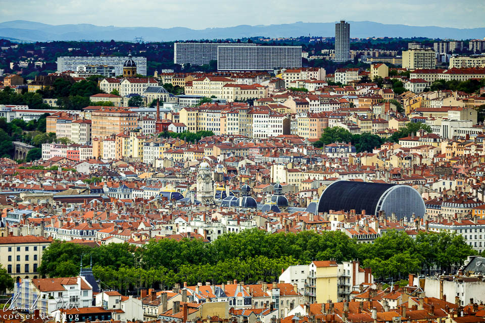 Ausblick vom Barbereich des Radisson Blu Hotels in Lyon