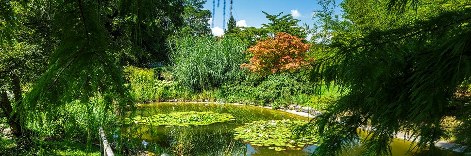 Botanischer Garten in Linz