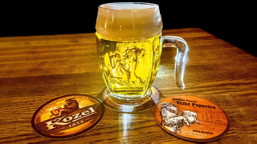Ein Glas Kozel-Bier in der Brauerei Velké Popovice