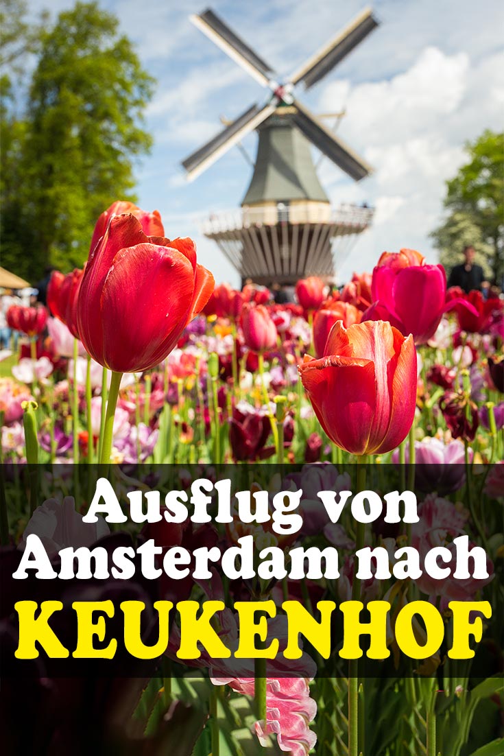 Keukenhof: Erfahrungsbericht zum Blumenpark vor Amsterdam mit Tipps zur Anreise, den besten Fotospots sowie kulinarischen Tipps
