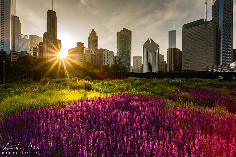 Sonnenuntergang und Skyline von Chicago