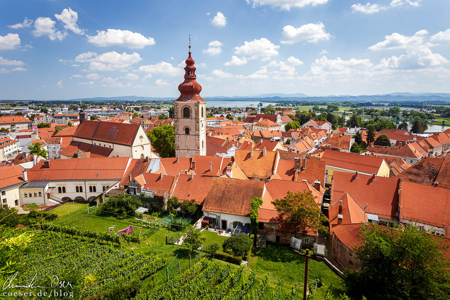 Ausblick vom Schloss auf die roten Dächer von Ptuj und den Stadtturm