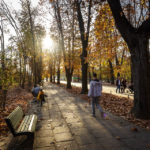 Herbststimmung im König-Michael-I.-von-Rumänien-Park (Herăstrău-Park)