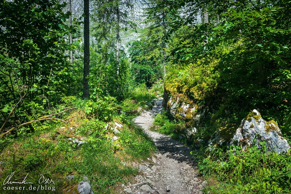 Wanderweg zur Fischunkelalm am Königssee