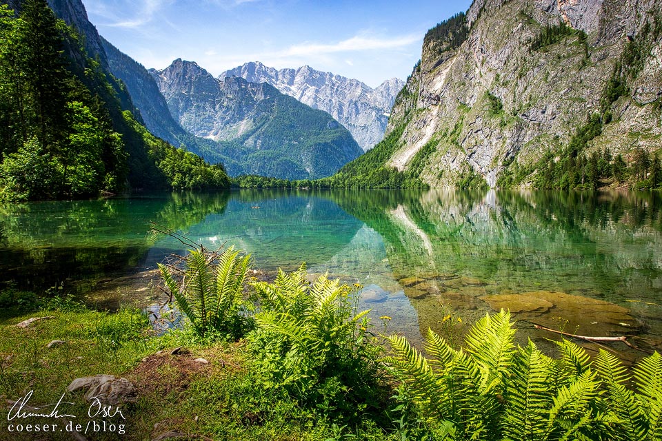 Ostufer des Obersees am Königssee