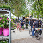 Blumenmarkt auf dem Burgplatz von Brügge