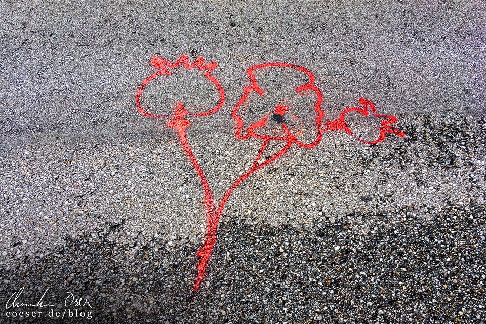 Rote Wegweiser in Form einer Mohnblüte zeigen den Weg zu den Mohnfeldern im Mohndorf Armschlag