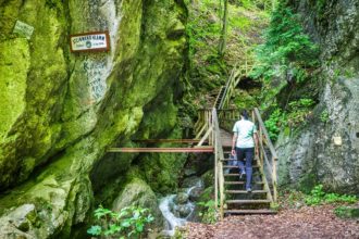 Eingang zur Steinwandklamm in Niederösterreich