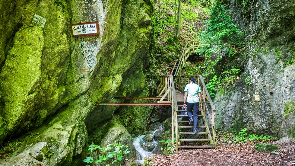 Eingang zur Steinwandklamm in Niederösterreich