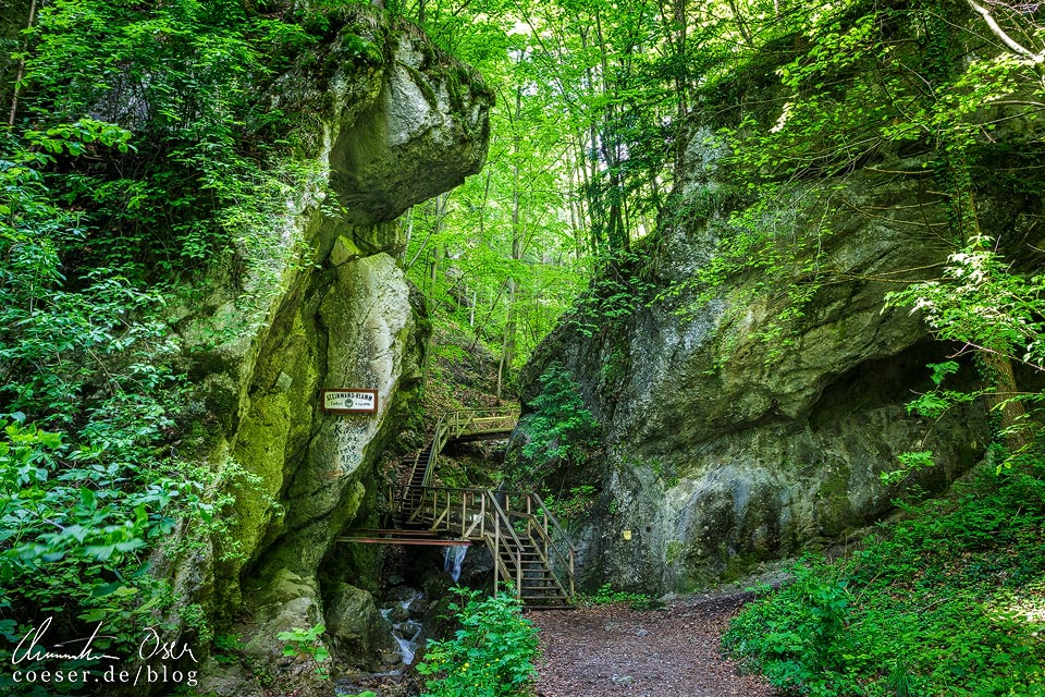 Zugang zur Steinwandklamm in Niederösterreich