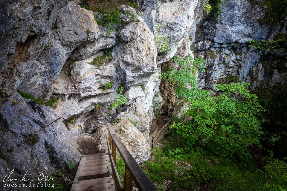 Rudolf-Decker-Steig in der Steinwandklamm in Niederösterreich