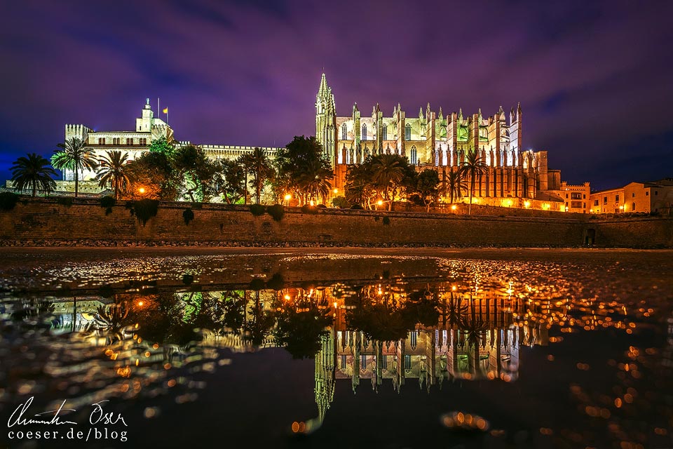 Spiegelung der beleuchteten Kathedrale von Palma de Mallorca