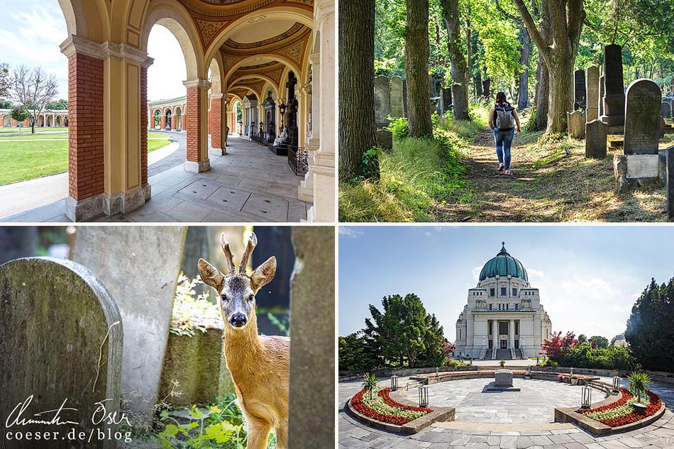 Reisetipps, Reiseinspiration und Fotospots aus Wien, Österreich