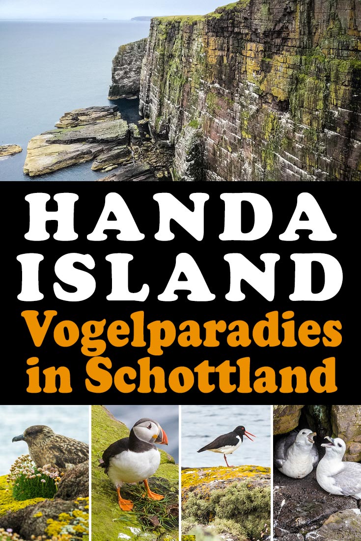 Handa Island: Reisebericht und Erfahrungen zu einem Ausflug auf die einsame Vogelinsel in Schottland mit den besten Fotospots sowie allgemeinen Tipps.