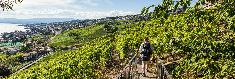 Weinwandern auf den UNESCO-Weinterrassen in Lavaux