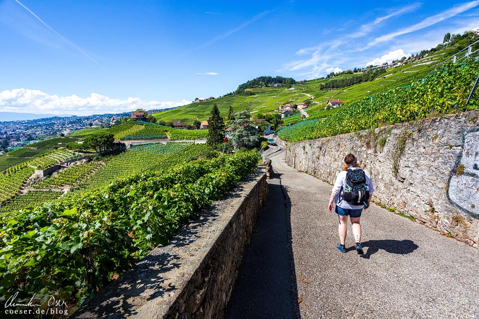 Die UNESCO-Weinterrassen von Lavaux