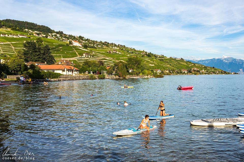 Die UNESCO-Weinterrassen von Lavaux