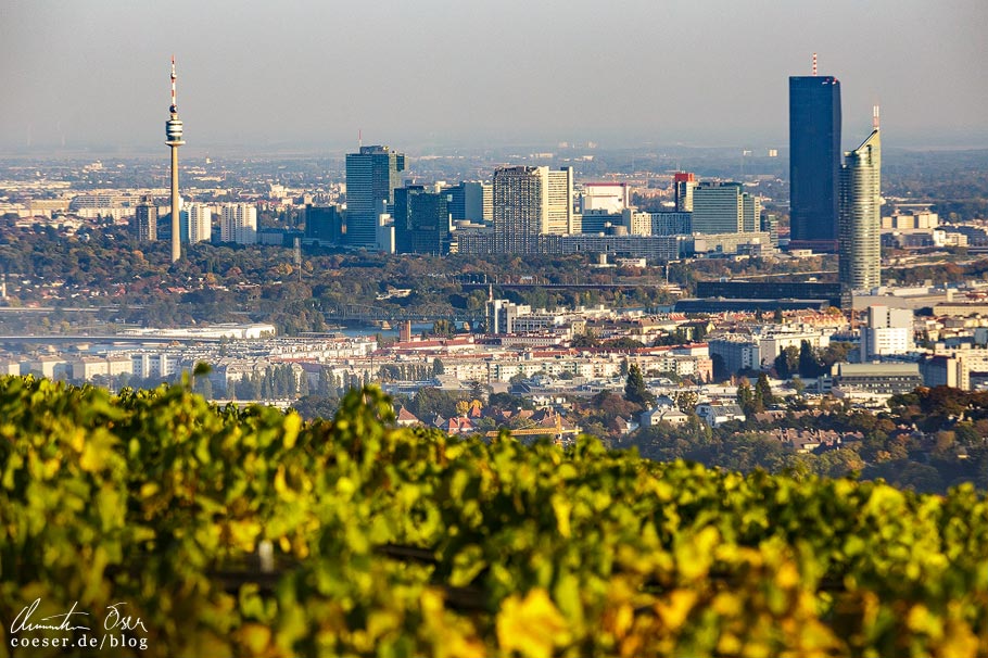 Fotospots Wien: Skyline von Wien vom Kahlenberg aus gesehen