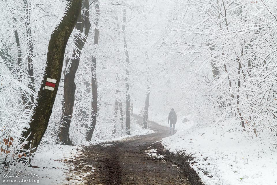 Stadtwanderweg 2 in Wien: Verschneiter Weg im Winter