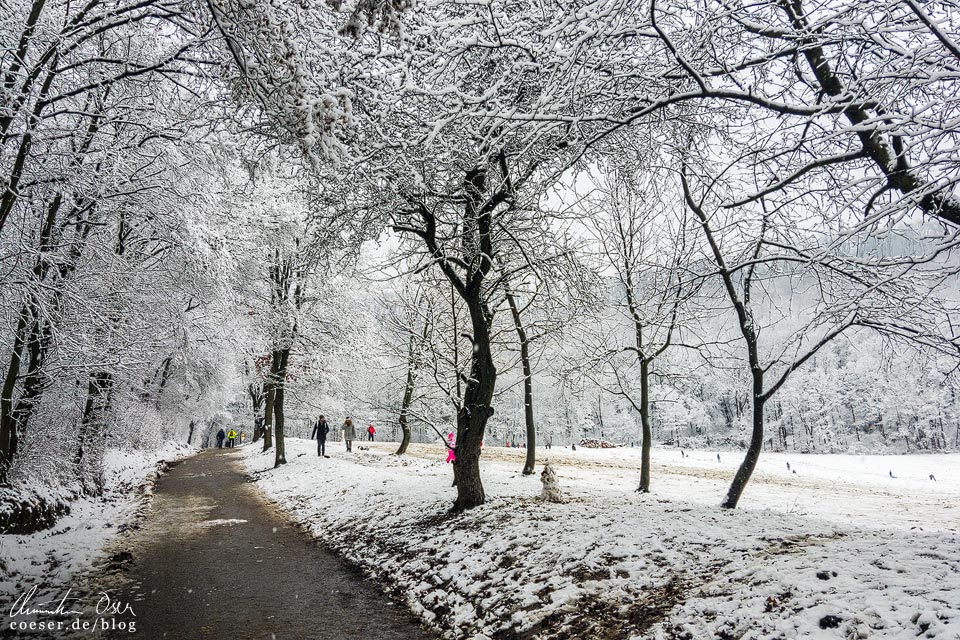 Stadtwanderweg 2 in Wien: Rohrerwiese im Winter