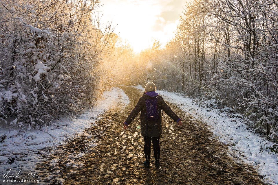 Stadtwanderweg 2 in Wien: Sonne und Schnee an der Kreuzeiche