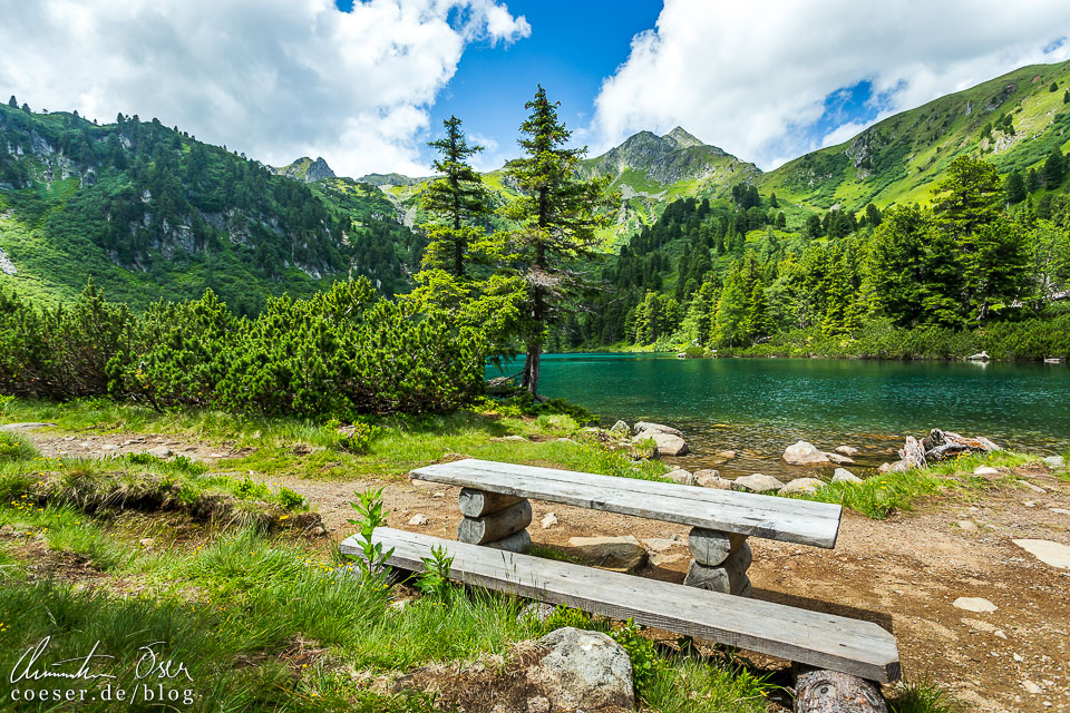 Holzbank auf dem Wanderweg um den Großen Scheibelsee