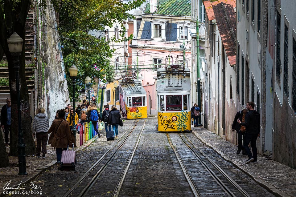 Fotospots Lissabon: Standseilbahn Ascensor da Glória