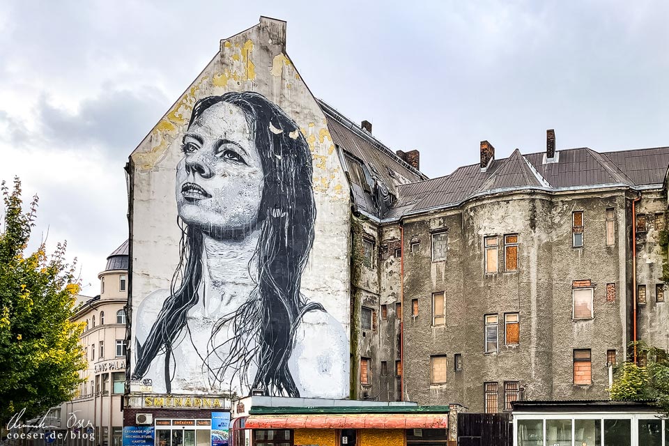 Mural "Meredith" oder "Madonna Ostravica" von Nils Westergard in Ostrava