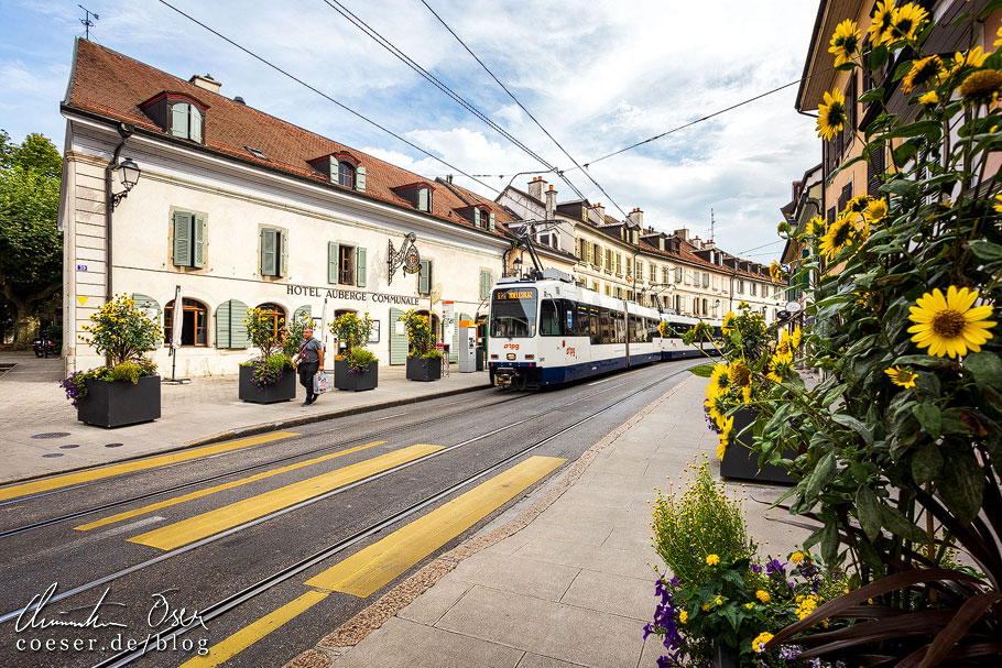 Tipps für eine Städtereise in Europa: Genf (Künstlerdorf Carouge)