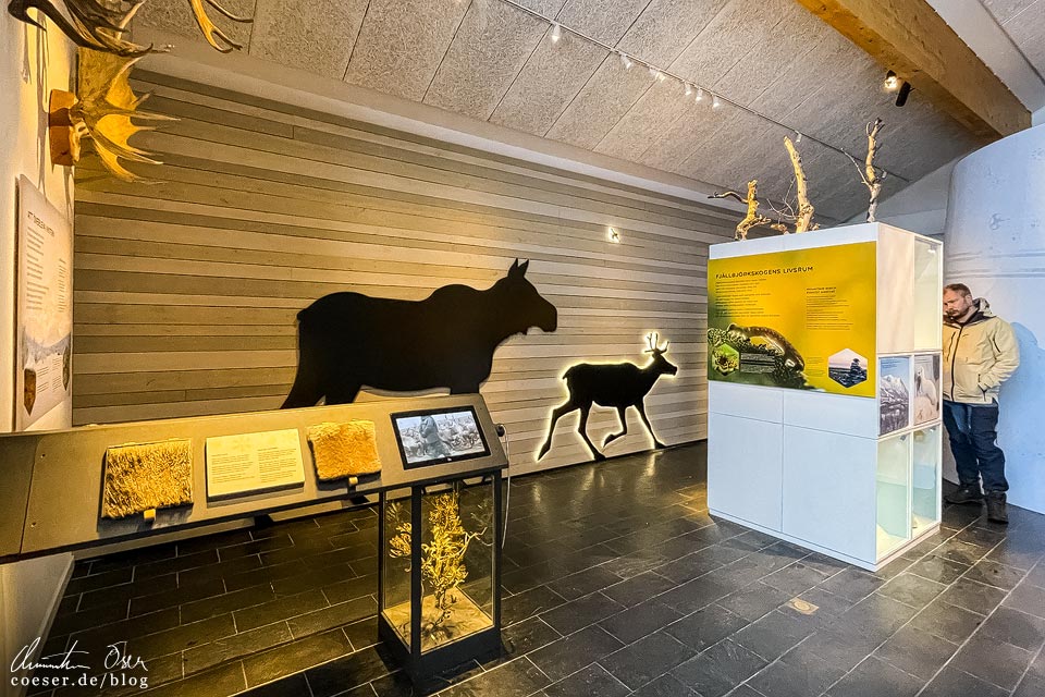 Besucherzentrum Naturum in Abisko, Schweden