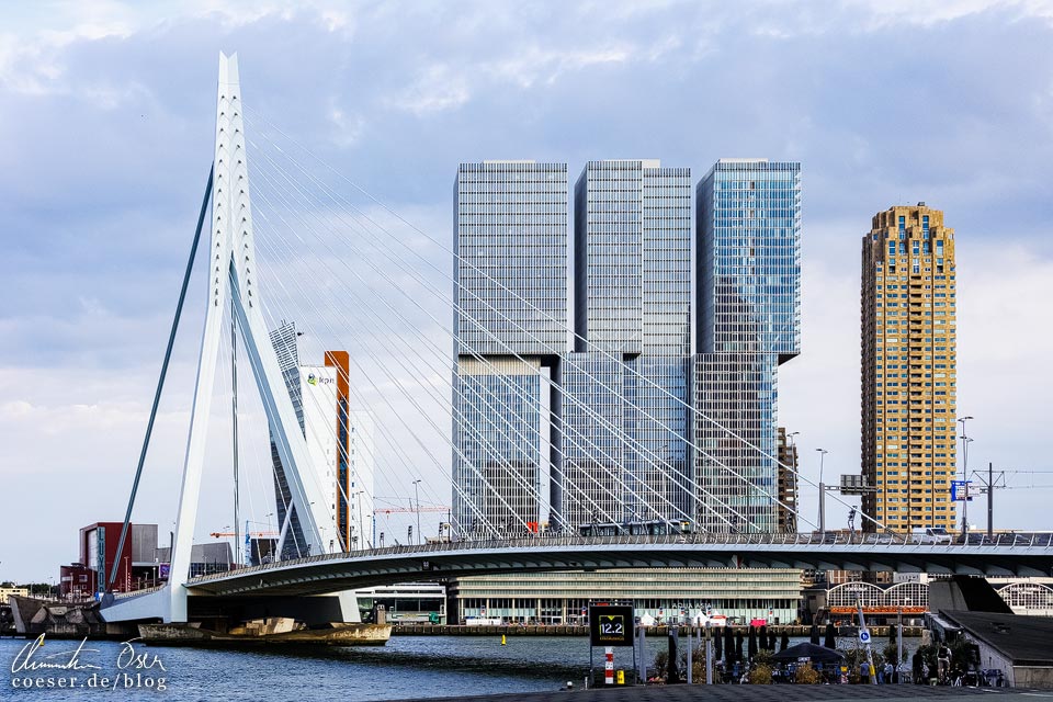 Inspiration für Interrail: Skyline von Rotterdam