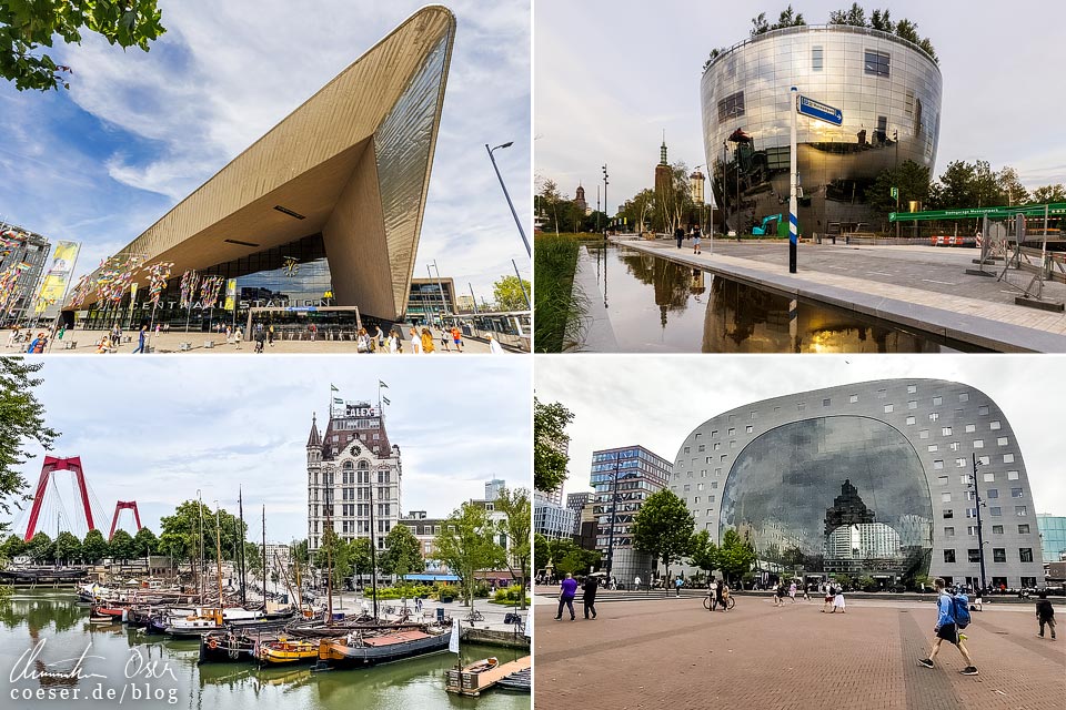 Inspiration für Interrail: Bilder und Eindrücke aus Rotterdam