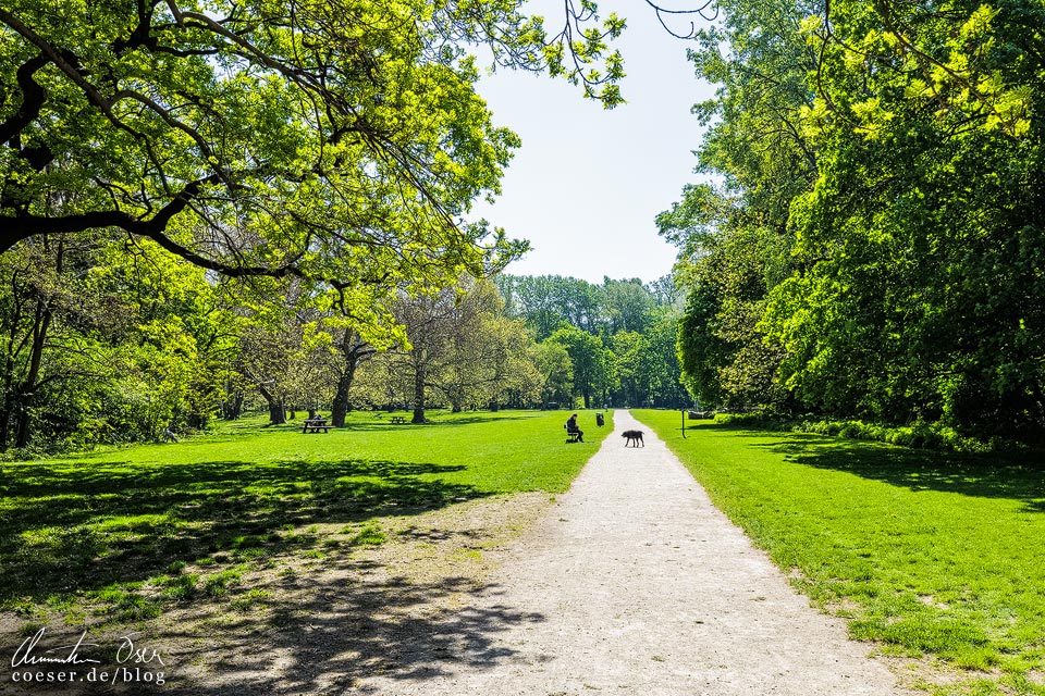 Wien, Stadtwanderweg 9: Hundeauslaufzone